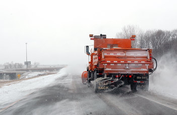 For the benefit of our plants, it makes a difference what kind of salt we use on the roads in winter