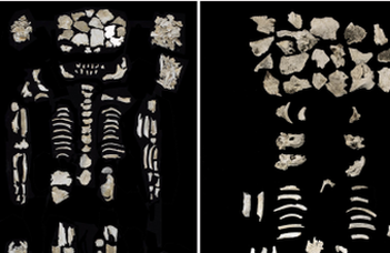 Izgalmas bronzkori leleteket találtak Szigetszentmiklósnál
