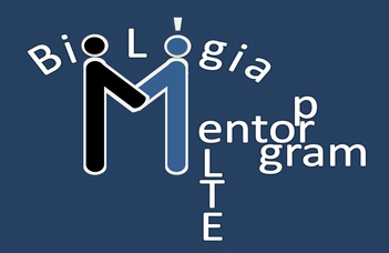 Középiskolás mentorprogram