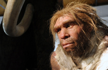 A neandervölgyi ember