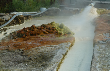 A termálvizek biofilm vizsgálatai segíthetik az ősi ökoszisztémák megértését