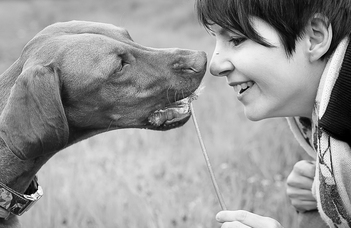 A kutyaagy érzékeny a kutyáknak szóló női  beszédre