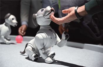 Amikor a robot visszakérdez – a kutya mint koncepció fontos