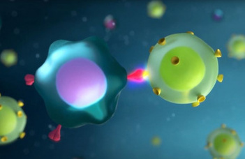 Így véd meg minket a koronavírus elleni vakcina – az MTA animációja